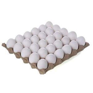 Fresh Eggs